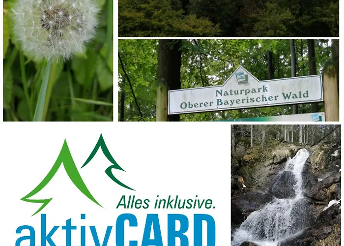 2 Zi App Sonnenschein Inklusive Activcard, Hallenbad, Sauna, Fitness & Aussenpool Apartamento
