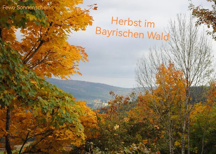 2 Zi App Sonnenschein Inklusive Activcard, Hallenbad, Sauna, Fitness & Aussenpool * Sankt Englmar