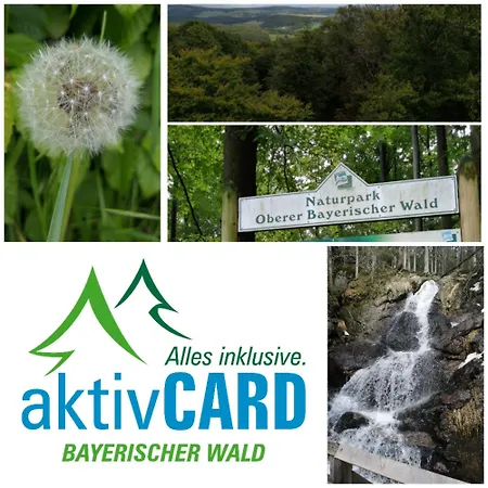 Familienwohnung Sonnenschein Mit Hallenbad, Sauna & Activcard Apartman