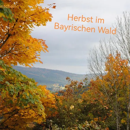 Familienwohnung Sonnenschein Mit Hallenbad, Sauna & Activcard * Sankt Englmar