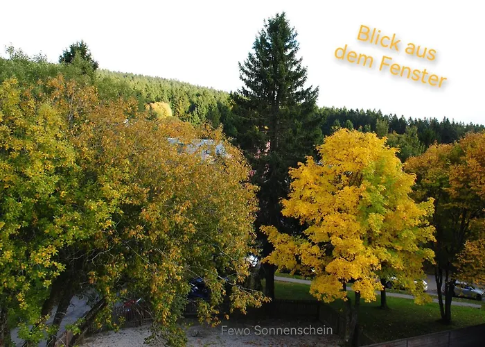 Appartement 2 Zi App Sonnenschein Inklusive Activcard, Hallenbad, Sauna, Fitness & Aussenpool Sankt Englmar